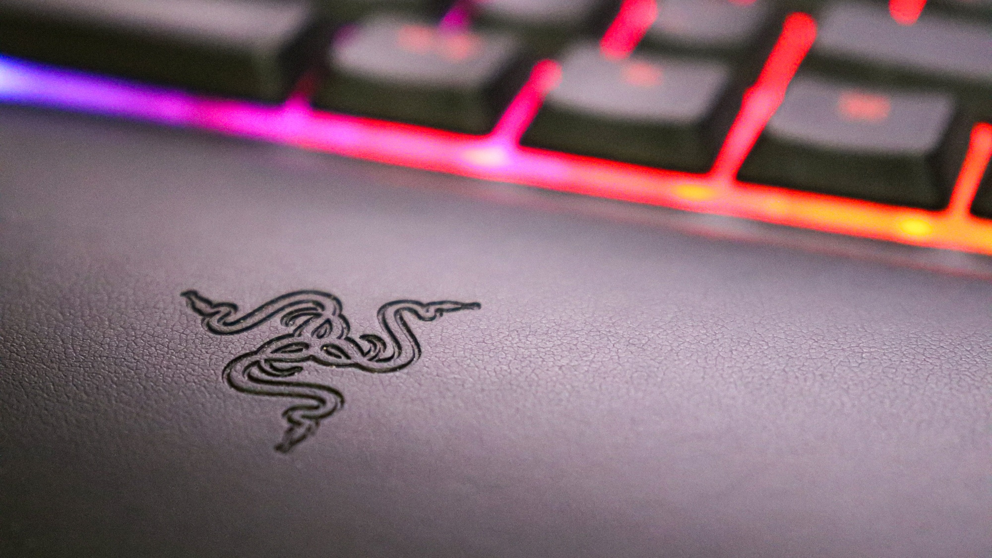 Razer BlackWidow V4 75% White Edition recenze: dokonalá rovnováha mezi hraním a produktivitou