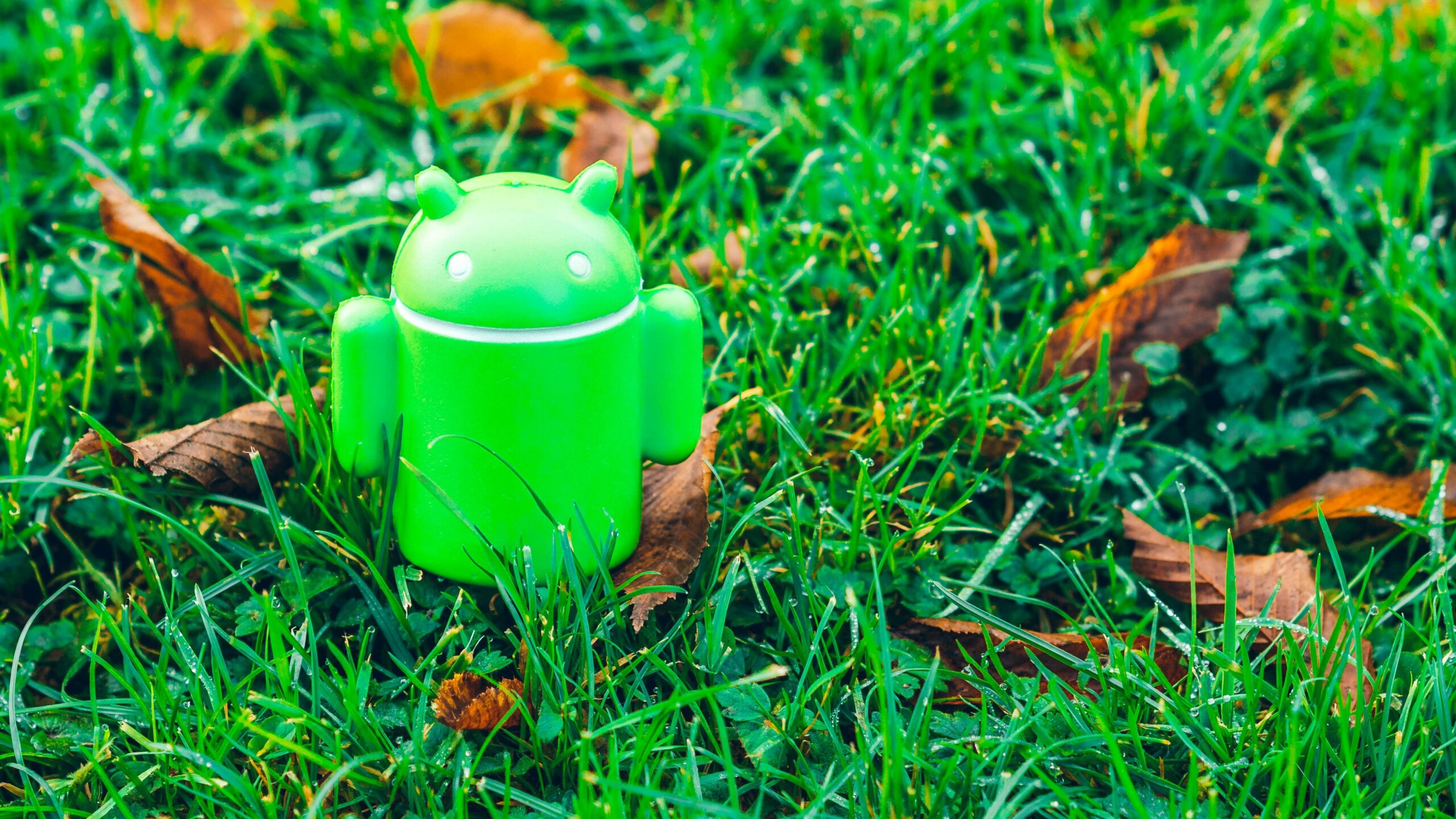 Přehledně a jasně: Co všechno přináší listopadová aktualizace OS Android